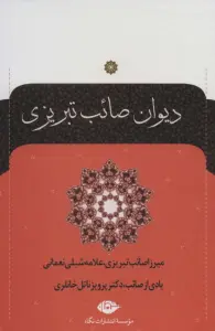دیوان صائب تبریزی (2جلدی)