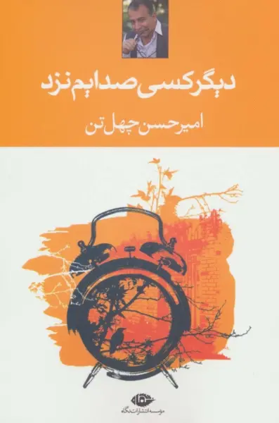دیگر کسی صدایم نزد