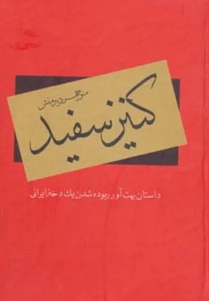 کنیز سفید (داستان بهت آور ربوده شدن یک دختر ایرانی)