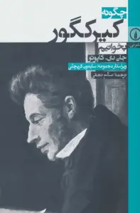 خلاصه کتاب چگونه کیرکگور بخوانیم - راهنمای کامل