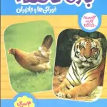 بسته 2 دسته کارت بازی حافظه (خوراکی ها و جانوران)،(گلاسه،باجعبه) - نردبان