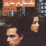یک سال در سه روز