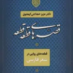قصه های قطعه قطعه (قطعه های روایی در شعر فارسی)